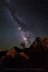 Canyonlands Milky Way