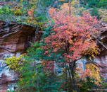 West Fork, Sedona, Arizona